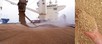 Milling wheat CIF Oman in October 2020