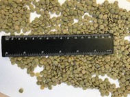 Green lentils FOB Russia